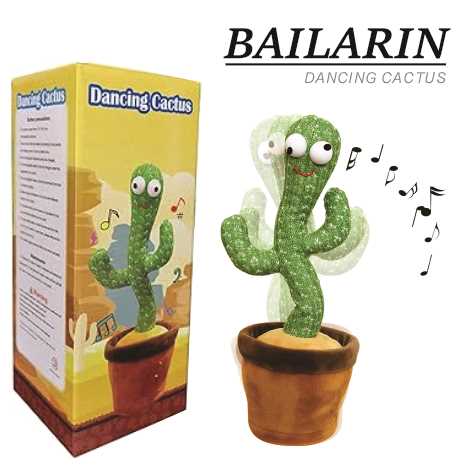 BAILARIN - DANCING CACTUS